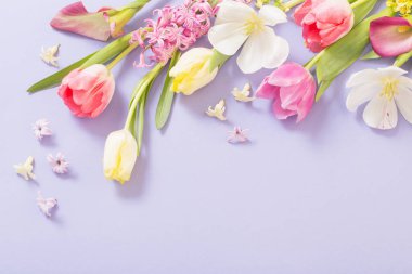 multicolored spring flowers on  purple background clipart