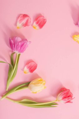 Pembe arka planda bahar çiçekleri