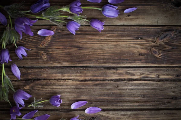 Primavera Flores Púrpuras Sobre Fondo Madera Viejo —  Fotos de Stock