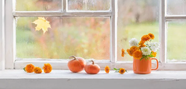 창턱에 가을꽃 — 스톡 사진