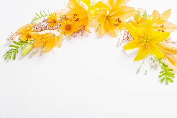 白い背景に明るい夏の花 — ストック写真