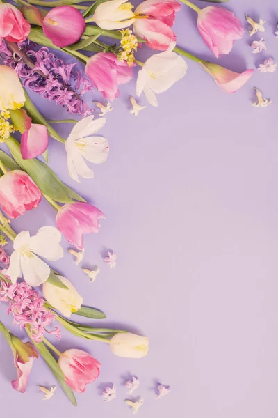 Πολύχρωμα Ανοιξιάτικα Λουλούδια Μωβ Φόντο — Φωτογραφία Αρχείου