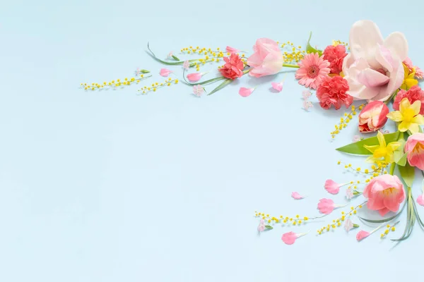 Красиві Весняні Квіти Синьому Фоні — стокове фото
