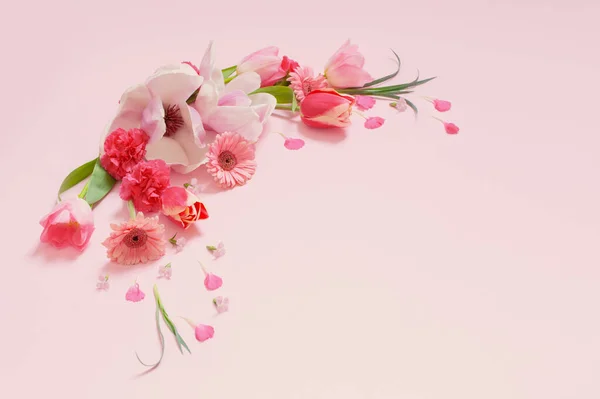 Όμορφα Λουλούδια Άνοιξη Ροζ Φόντο — Φωτογραφία Αρχείου