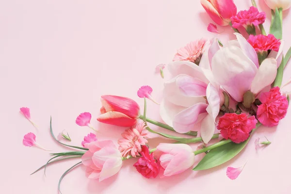 Piękne Wiosenne Kwiaty Różowym Tle — Zdjęcie stockowe