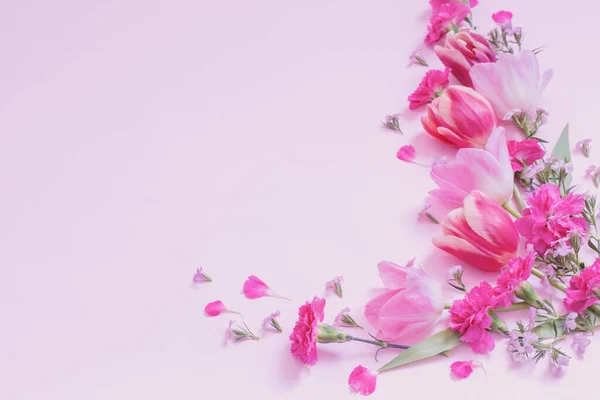 Красиві Весняні Квіти Фіолетовому Фоні — стокове фото