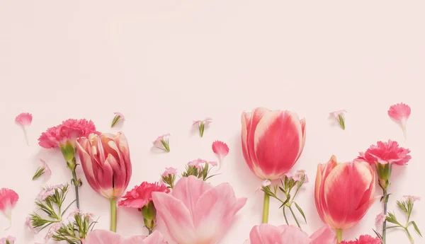 Gyönyörű Tavaszi Virágok Fehér Háttér — Stock Fotó