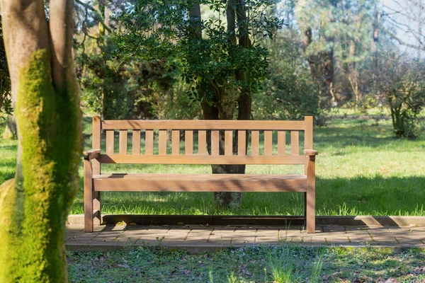 日当たりの良い春の公園の木製ベンチ — ストック写真