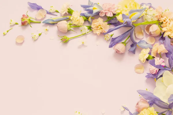 stock image beautiful spring flowers on paper background