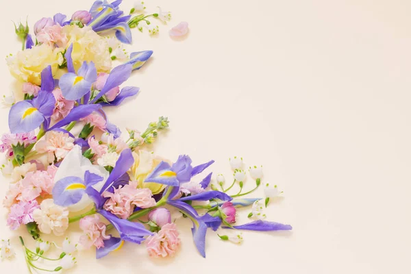 Belas Flores Primavera Fundo Pastel — Fotografia de Stock