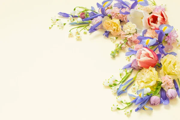 Mooie Lente Bloemen Pastel Achtergrond — Stockfoto