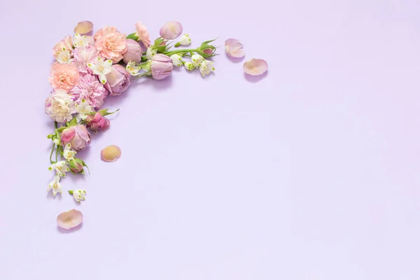Schöne Frühlingsblumen Auf Violettem Hintergrund — Stockfoto