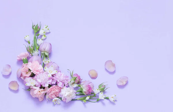 紫色の背景に美しい春の花 — ストック写真