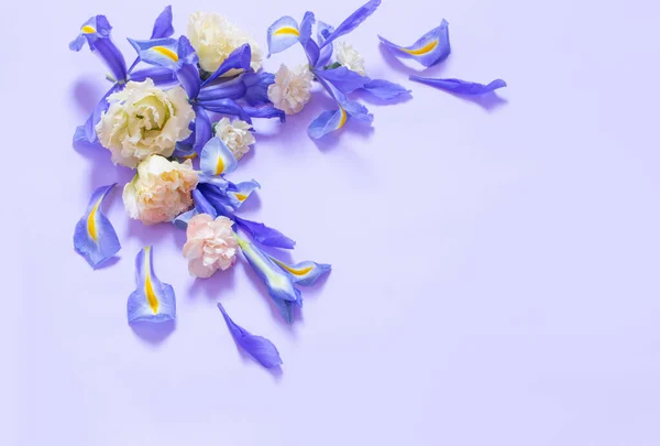 紫色の背景に美しい春の花 — ストック写真