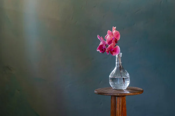 Orquídea Rosa Botella Cristal Sobre Fondo Azul Oscuro — Foto de Stock