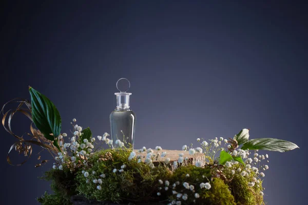 Poción Mágica Botella Vidrio Con Plantas Flores Sobre Fondo Azul —  Fotos de Stock