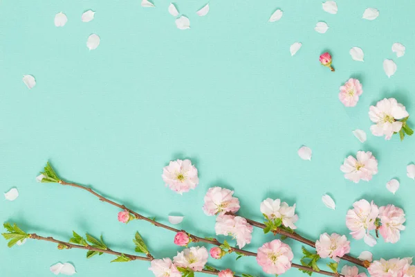 Гілки Квітучого Мигдалю Зеленому Фоні — стокове фото