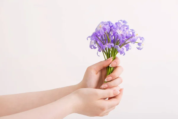 Blue Spring Flowers Womans Hand White Background — Stock Photo, Image