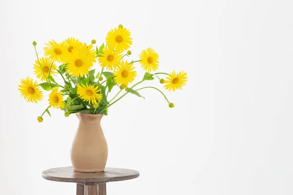 Yellow Spring Flowers Vase White Background — Stock Photo, Image