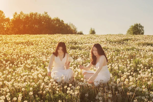 日没時にタンポポのある牧草地の2人の若い美しい女の子 — ストック写真