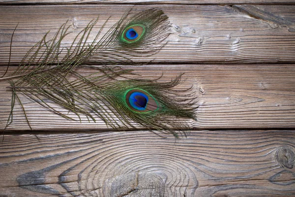 旧木制背景上的孔雀羽毛 — 图库照片