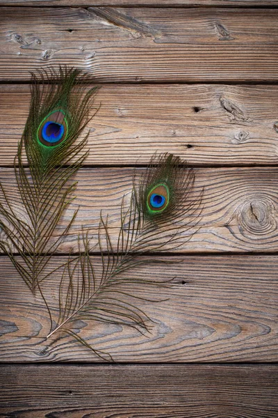 旧木制背景上的孔雀羽毛 — 图库照片