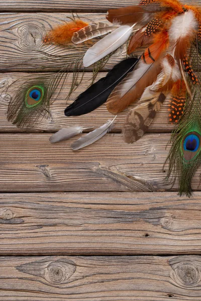 旧木制背景上的彩色羽毛 — 图库照片