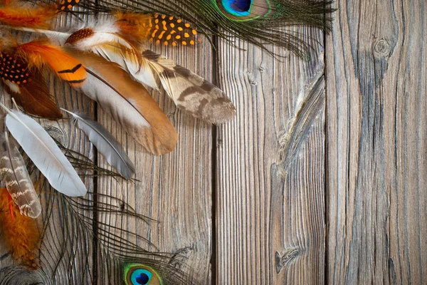 古い木の背景にある色の羽 — ストック写真