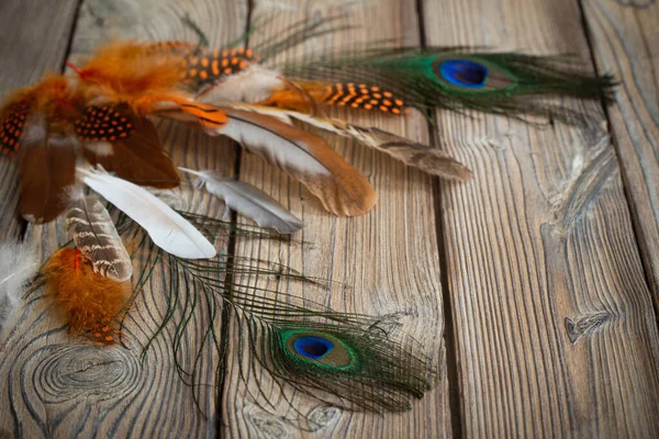 color feathers on old wooden background