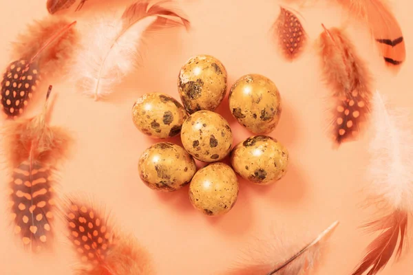 Páscoa Ovos Codorna Dourados Fundo Pastel — Fotografia de Stock