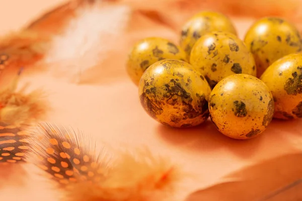 Πασχαλινά Χρυσά Αυγά Ορτυκιού Παστέλ Φόντο — Φωτογραφία Αρχείου