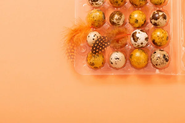 파스텔 배경에 플라스틱 용기에 달걀을 담근다 — 스톡 사진