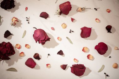 Kurumuş kırmızı güller mermer arka planda