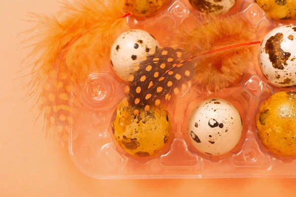 Пасхальные Яйца Перепела Пластиковом Контейнере Фоне Пастели — стоковое фото