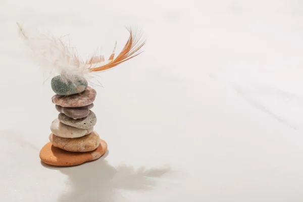 Cairn Bird Feather White Background — Stock Photo, Image