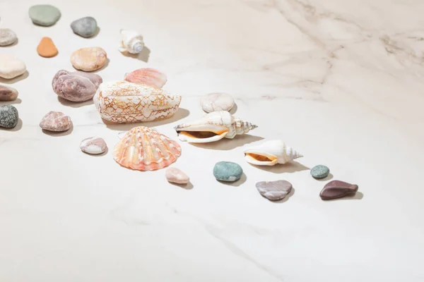 Морські Камені Черепашки Білому Мармуровому Фоні — стокове фото