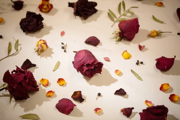 大理石背景的干红玫瑰 — 图库照片