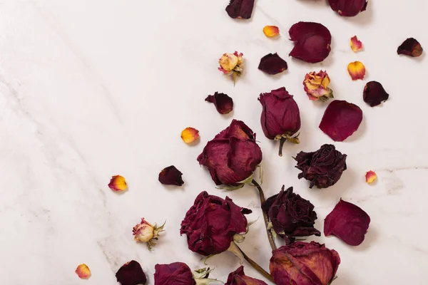 dried red  roses on marble background