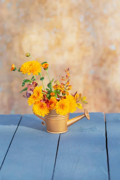 Chrysanthemum Flowers Golden Watering Can Background Old Wall Sunlight — Stock Photo, Image