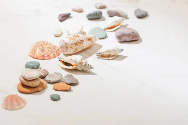 Meeressteine Und Muscheln Auf Weißem Marmorhintergrund Stockbild