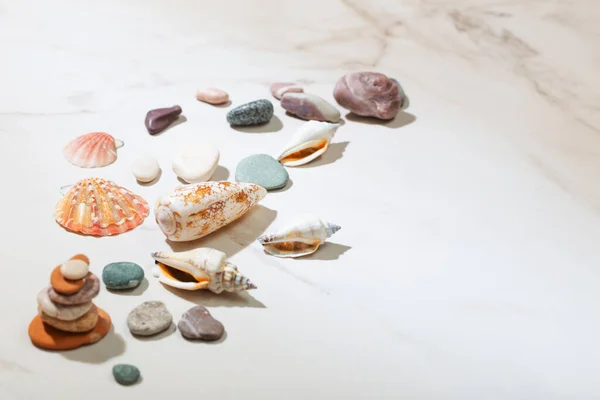 Meeressteine Und Muscheln Auf Weißem Marmorhintergrund lizenzfreie Stockbilder