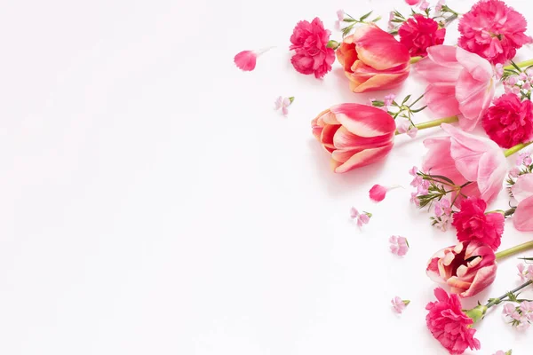 Belles Fleurs Printanières Sur Fond Blanc — Photo
