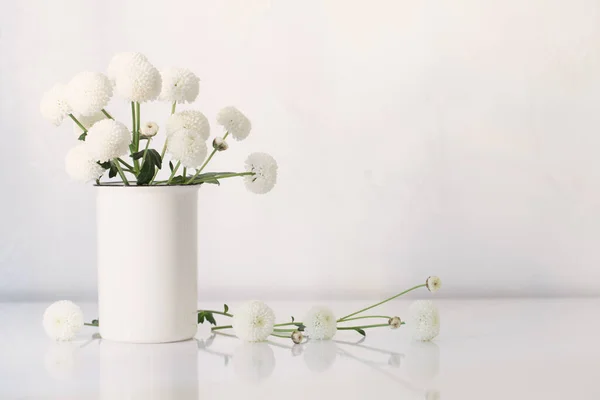 Crisantemos Blancos Jarrón Sobre Fondo Blanco —  Fotos de Stock