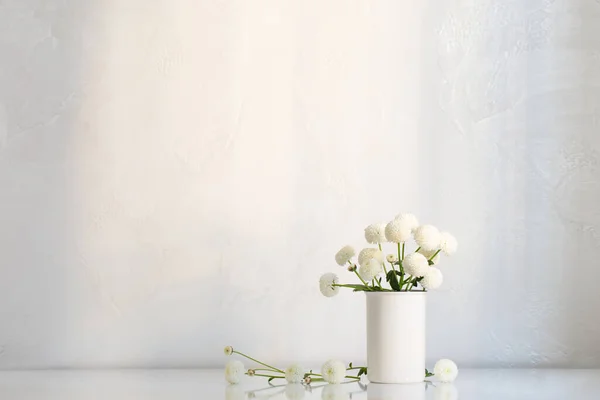 Beyaz Arkaplanda Vazoda Beyaz Kasımpatılar — Stok fotoğraf
