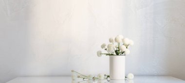 Beyaz arkaplanda vazoda beyaz kasımpatılar