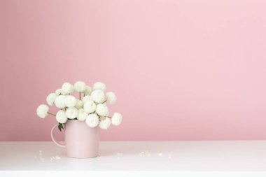 Pembe arka planda pembe bardakta beyaz kasımpatılar.