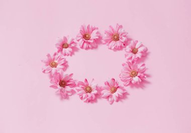 Pembe arka planda pembe kasımpatılar