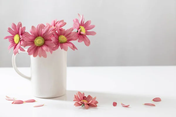 Rosa Chrysanthemen Weißer Tasse Auf Weißem Hintergrund — Stockfoto