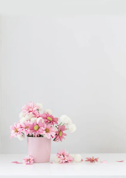 white and pink  chrysanthemums in pink vase on white background