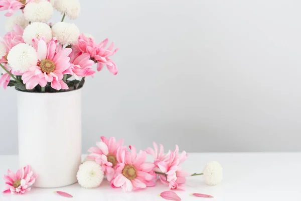白い背景に白い花瓶に白とピンクの菊 — ストック写真